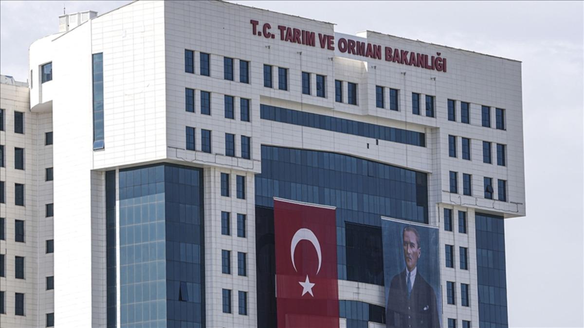 Gökçeada, Şap Hastalığından Aşılı Ari Bölge Statüsüne Kavuştu Gökçeada, Şap Hastalığından Aşılı Ari Bölge Statüsüne Kavuştu