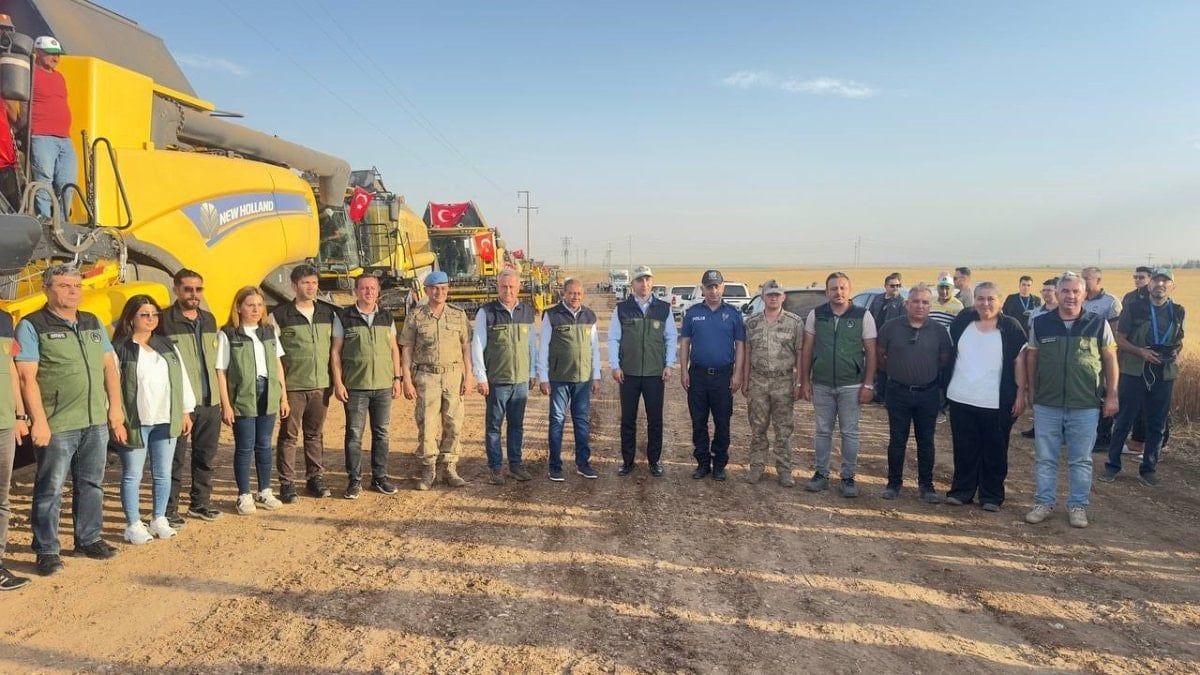 Buğday Hasadı Başladı: Ceylanpınar Tarım İşletmesi'nde 56 Bin 400 Hektar Alan Kapsanıyor Buğday Hasadı Başladı: Ceylanpınar Tarım İşletmesi'nde 56 Bin 400 Hektar Alan Kapsanıyor