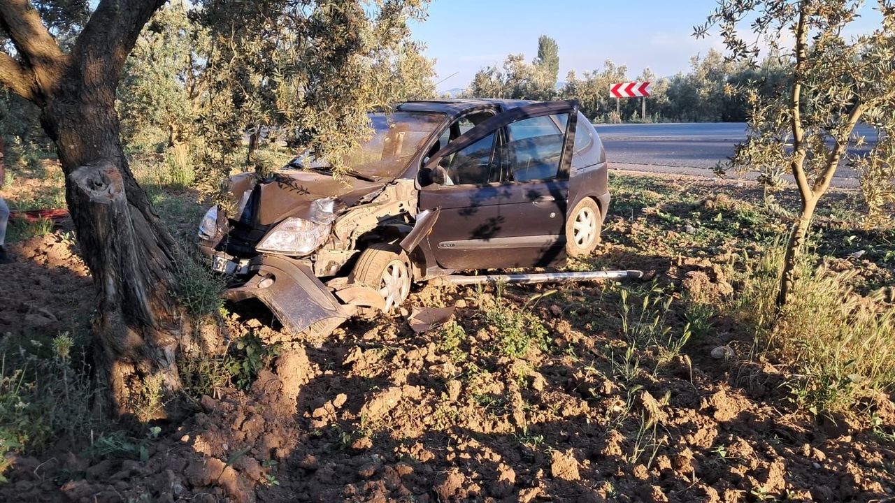 Otomobil Zeytin Ağacına Çarptı: Araç Kullanılamaz Hale Geldi Otomobil Zeytin Ağacına Çarptı: Araç Kullanılamaz Hale Geldi