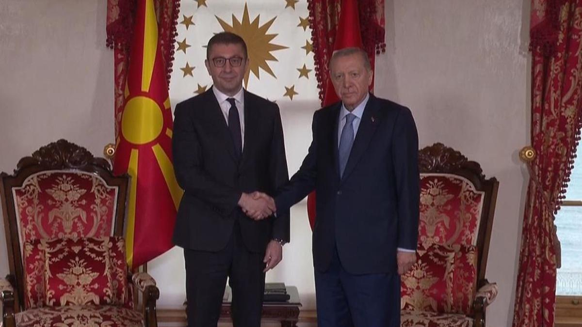 Cumhurbaşkanı Erdoğan, Kuzey Makedonya Başbakanı Mickoski'yi Kabul Etti Cumhurbaşkanı Erdoğan, Kuzey Makedonya Başbakanı Mickoski'yi Kabul Etti