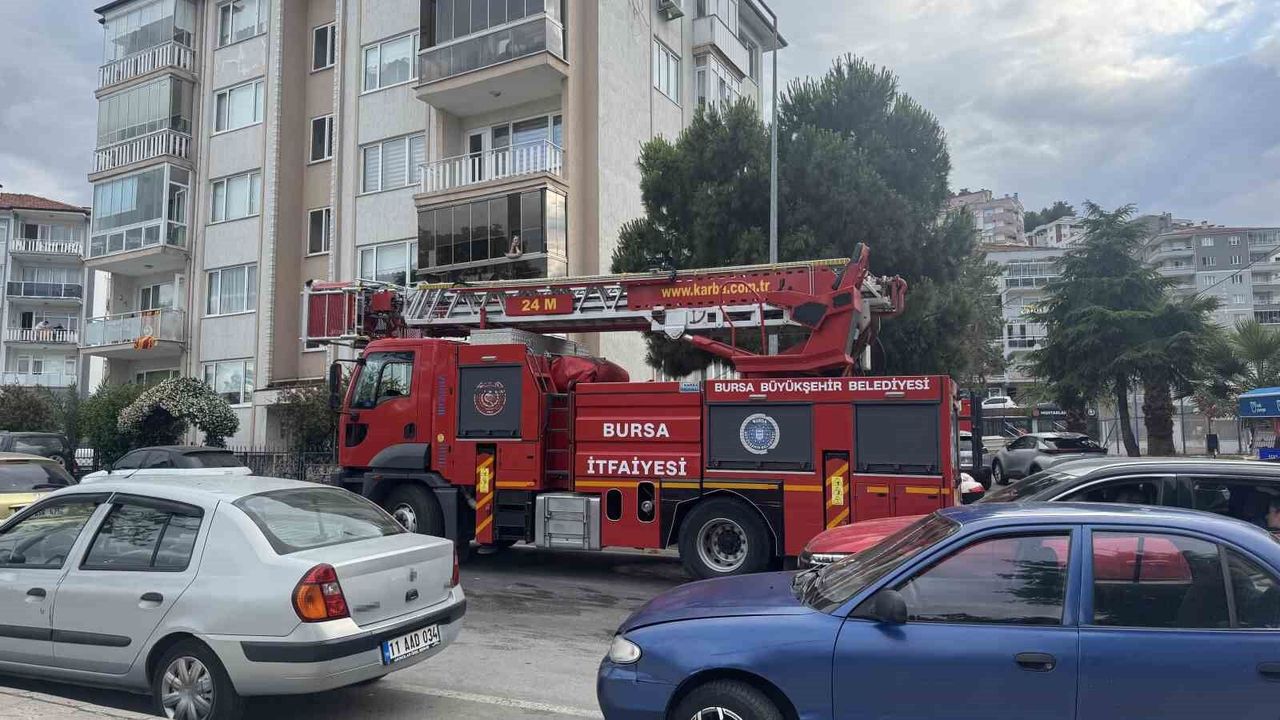 Karga Kurtarma Anında Diğer Kargalardan Saldırgan Davranışlar: İlginç Anlar Yaşandı Karga Kurtarma Anında Diğer Kargalardan Saldırgan Davranışlar: İlginç Anlar Yaşandı