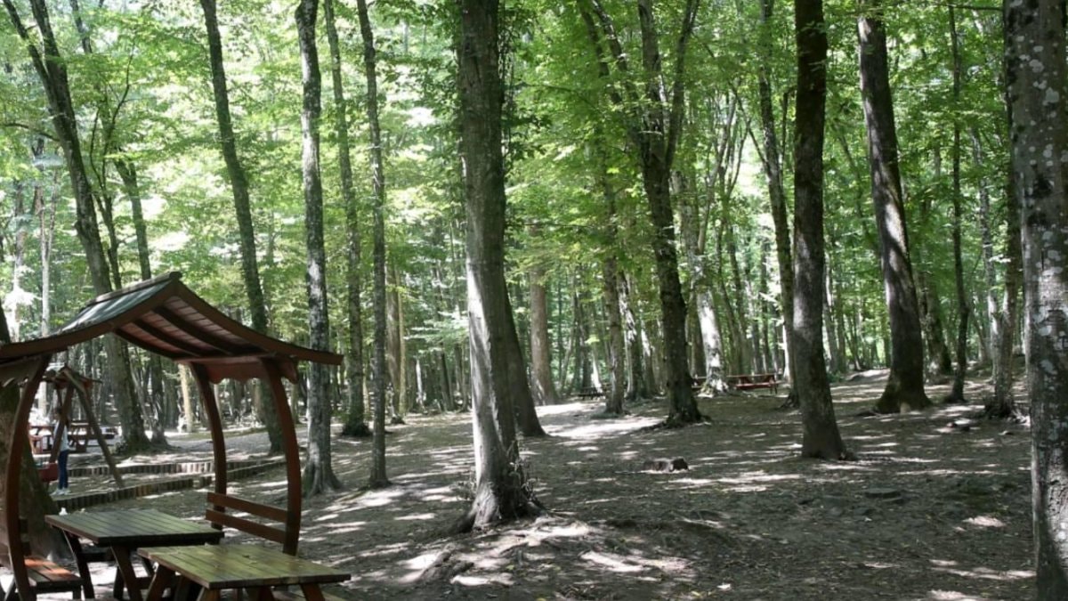 Edirne'de Ormanlık Alanlara Giriş 15 Ekim'e Kadar Yasaklandı Edirne'de Ormanlık Alanlara Giriş 15 Ekim'e Kadar Yasaklandı