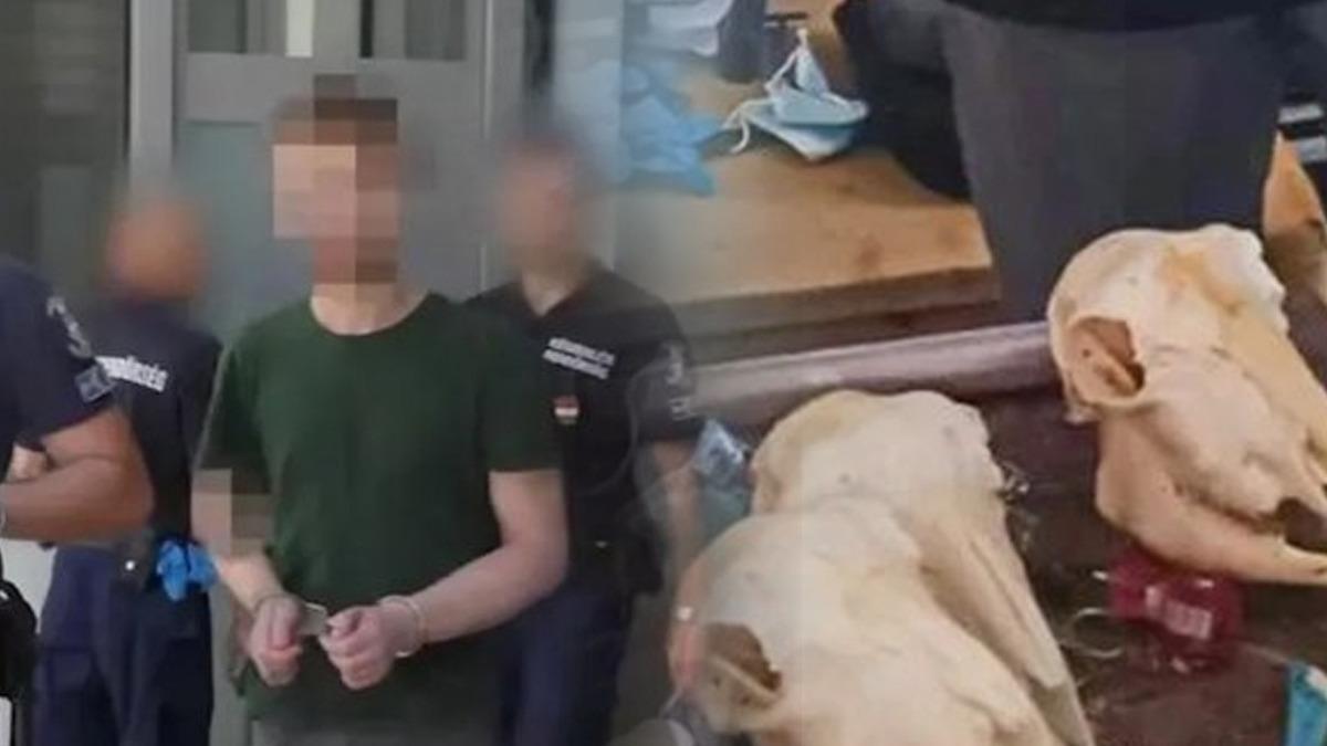Avrupa'nın göbeğinde vahşet! "İnsan parçalarından yemek hazırlayıp yedim"