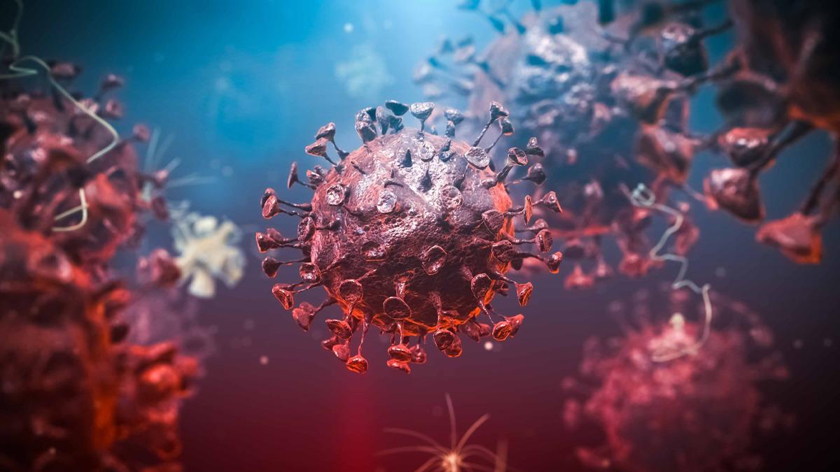 Kongo Demokratik Cumhuriyeti'nde Ebola Salgını Kontrolden Çıktı Kongo Demokratik Cumhuriyeti'nde Ebola Salgını Kontrolden Çıktı