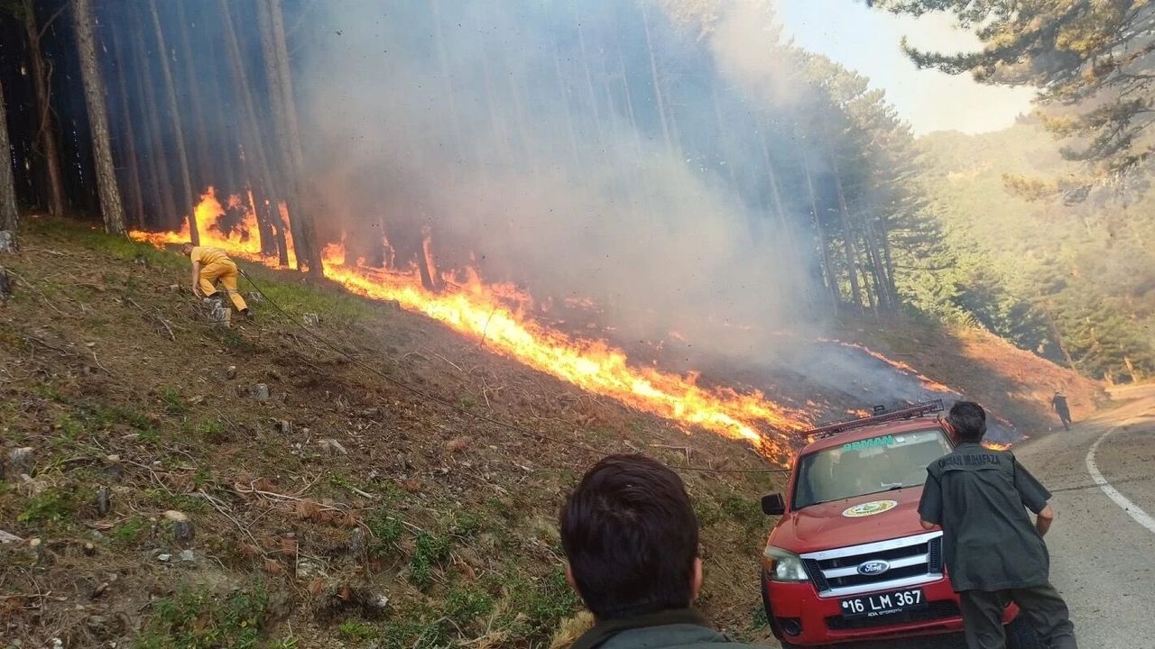 Uludağ'da Orman Yangınına Hızla Müdahale Ediliyor Uludağ'da Orman Yangınına Hızla Müdahale Ediliyor
